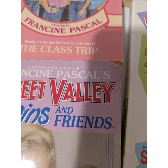 15 Vintage Sweet Valley High & Diaries Francine Pascal Books Lot Bundle - Picture 10 of 16